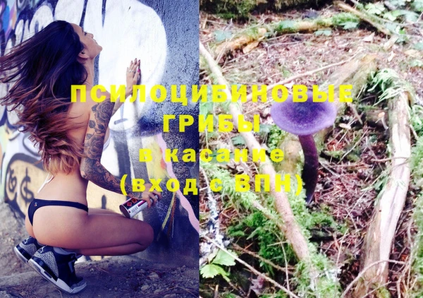 бошки Киреевск