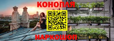 шишки Белореченск