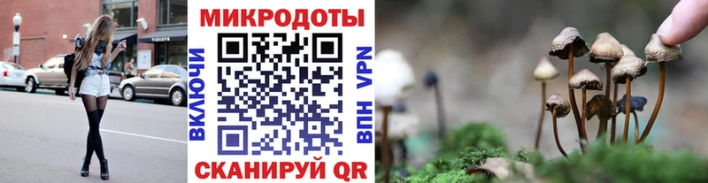 hydra вход Старый Оскол Псилоцибиновые грибы Psilocybine cubensis