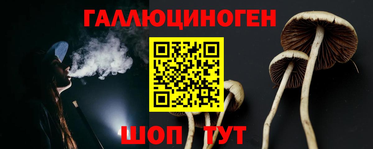 Старый Оскол  Псилоцибиновые грибы MAGIC MUSHROOMS  Вход с VPN  Псилоцибиновые грибы мухоморы 